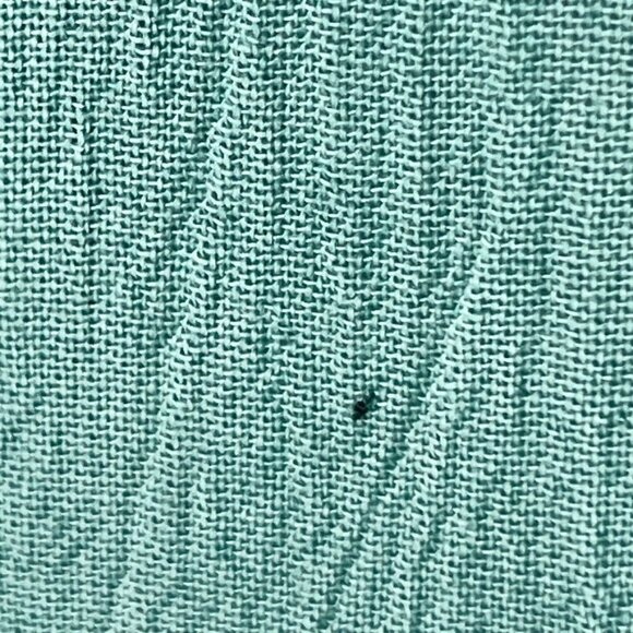 Frye & Co Green Crystal Springs Dress Size L Lined V Neck New With Tags - Picture 6 of 15